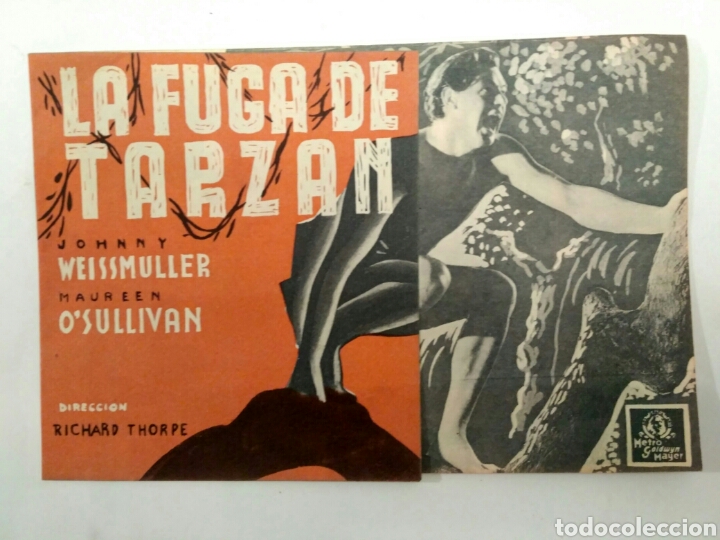 Cine: La fuga de Tarz&aacute;n, programa de cine. - Foto 1