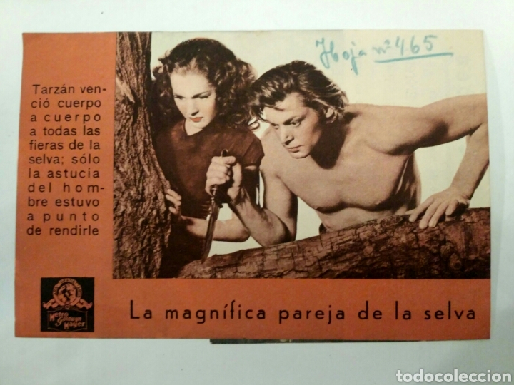Cine: La fuga de Tarz&aacute;n, programa de cine. - Foto 2