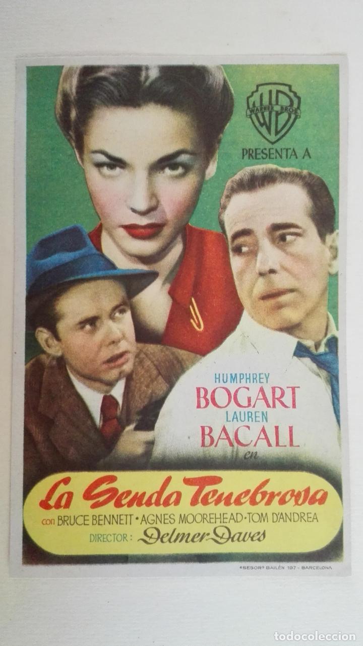 Cine: PROGRAMA DE CINE, LA SENDA TENEBROSA, SIN PUBLICIDAD - Foto 1