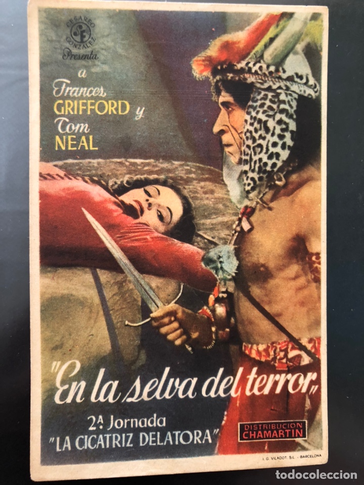Cine: Programa en la selva del terror.jornada 2 la cicatriz delatora - Foto 1