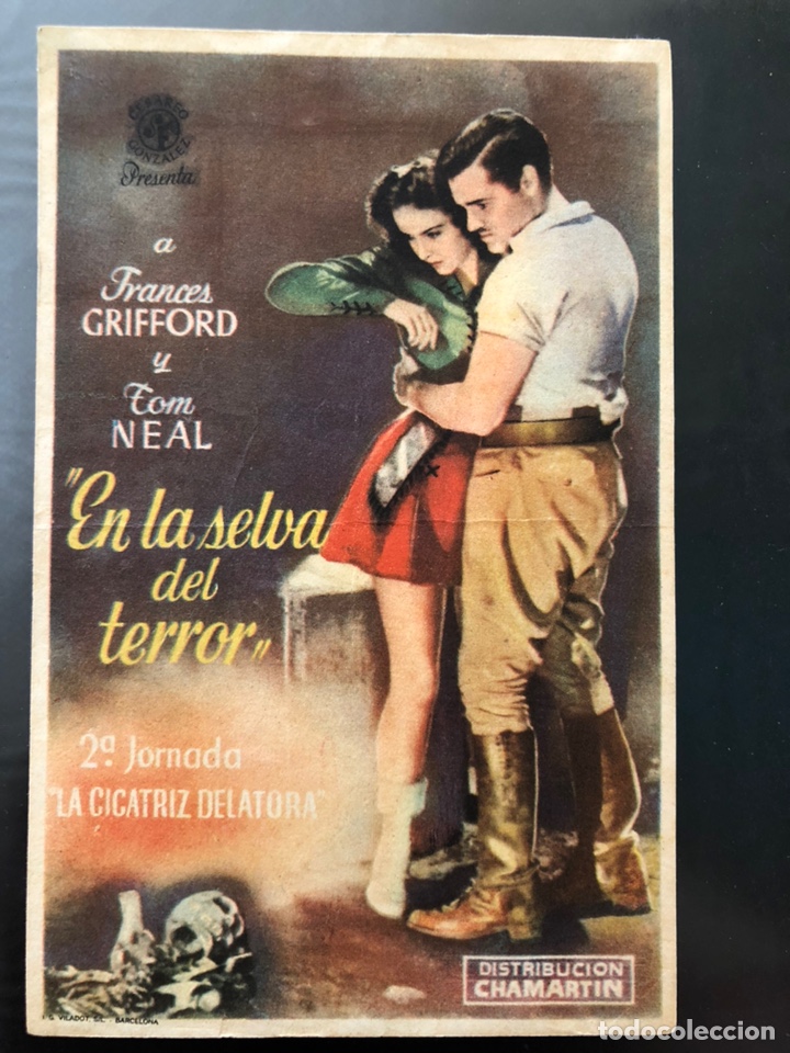 Cine: Programa en la selva del terror.jornada 2 la cicatriz delatora - Foto 1