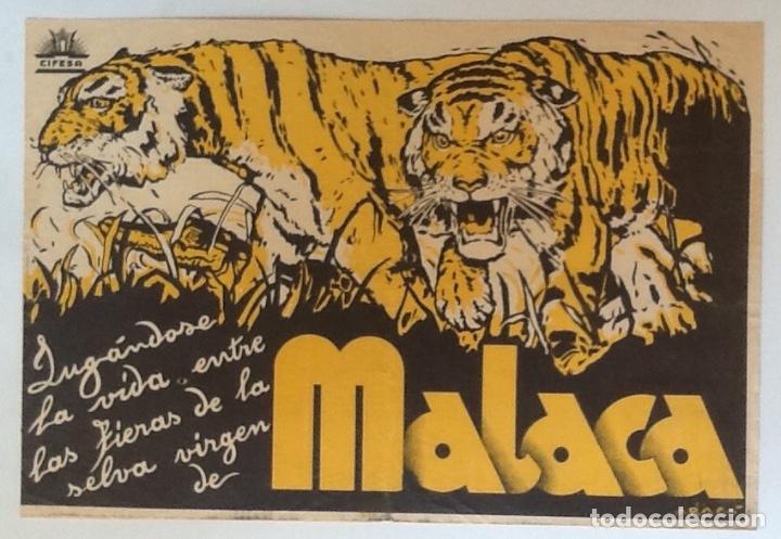 Cine: MALACA, PROGRAMA GRANDE CIFESA, DISE&Ntilde;O DE PERIS ARAG&Oacute; - Foto 1