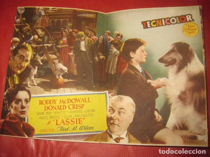 Cine: PROGRAMA DE CINE LA CADENA INVISIBLE. LASSIE.METRO GOLDWYN MAYER. - Foto 2