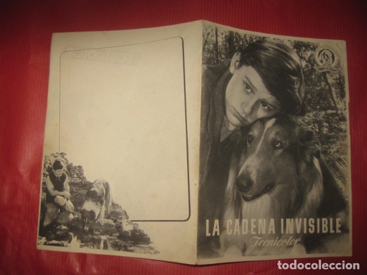 Cine: PROGRAMA DE CINE LA CADENA INVISIBLE. LASSIE.METRO GOLDWYN MAYER. - Foto 1