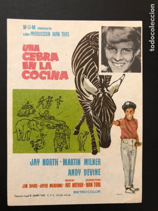 Cine: Programa una cebra en la cocina.jay north - Foto 1