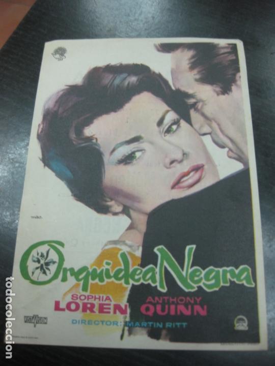 Cine: PROGRAMA DE CINE.- ORQUIDEA NEGRA. SOFIA LOREN, ANTHONY QUINN - Foto 1