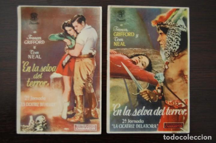 Cine: EN LA SELVA DEL TERROR (2 episodios). - Foto 1