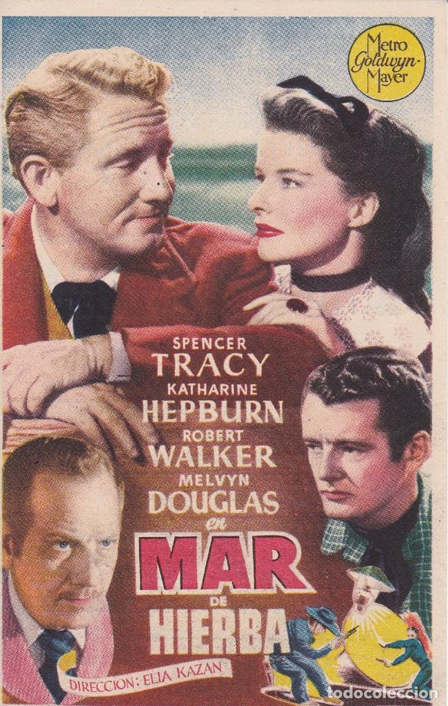Cine: Mar de Hierba Cine principal y la Rambla - Foto 1