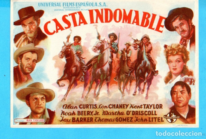 Cine: FOLLETO DE CASTA INDOMABLE SIN PUBLICIDAD - Foto 1
