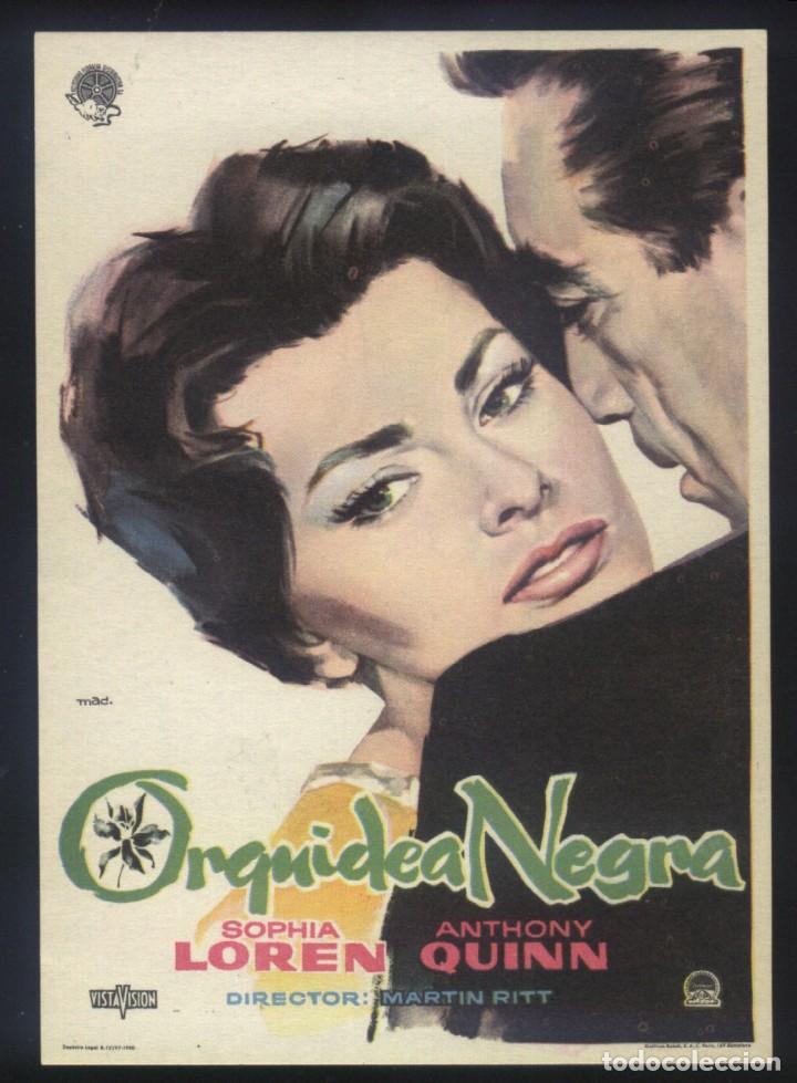 Cine: Q-06780- Orquidea negra (The Black Orchid) Sophia Loren - Anthony Quinn - Peter Mark Richman