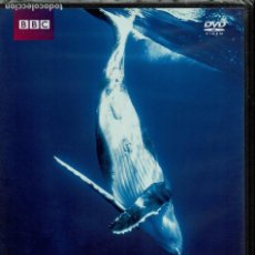 Cine: BBC EXPEDICION OCEANOS-EL MAR DE CORTES. Lote 195325996
