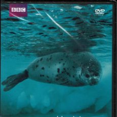 Cine: BBC EXPEDICION OCEANOS-EL OCEANO ARTICO. Lote 195326540