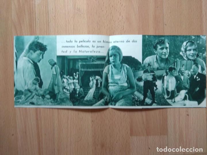 Cine: PROGRAMA DE CINE..LOS DE 14 A&Ntilde;OS - Foto 2