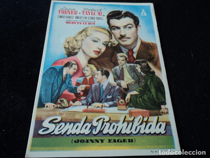 Cine: SENDA PROHIBIDA - ROBERT TAYLOR, LANA TURNER