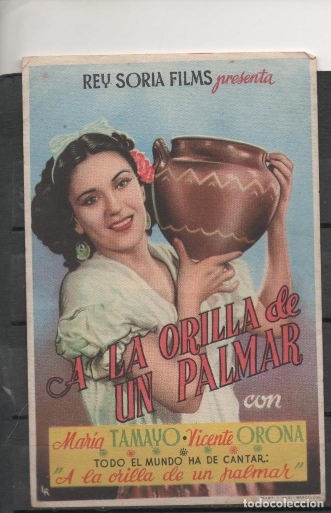 Cine: PROGRAMA DE MANO DE LA PEL&Iacute;CULA A LA ORILLA DE UN PALMAR - Foto 1