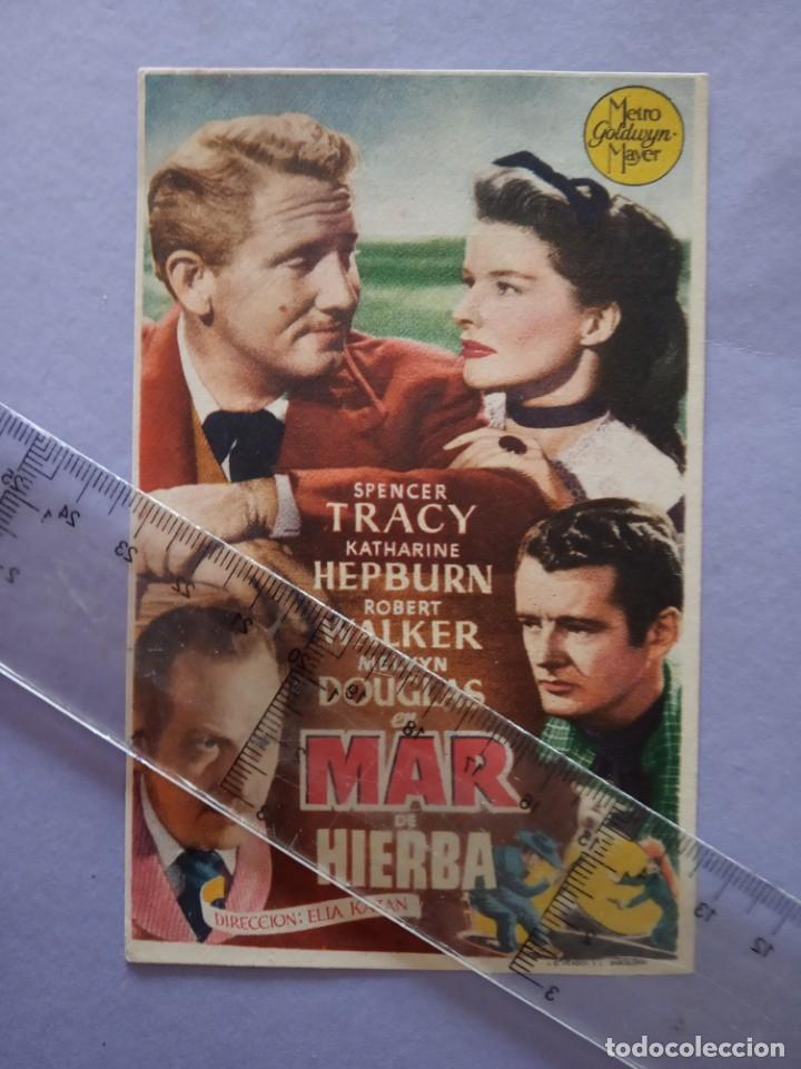  Flyers Publicitaires de films Anciens: folleto de mano - mar de hierba - cine rex - castellon - a&ntilde;o 1948