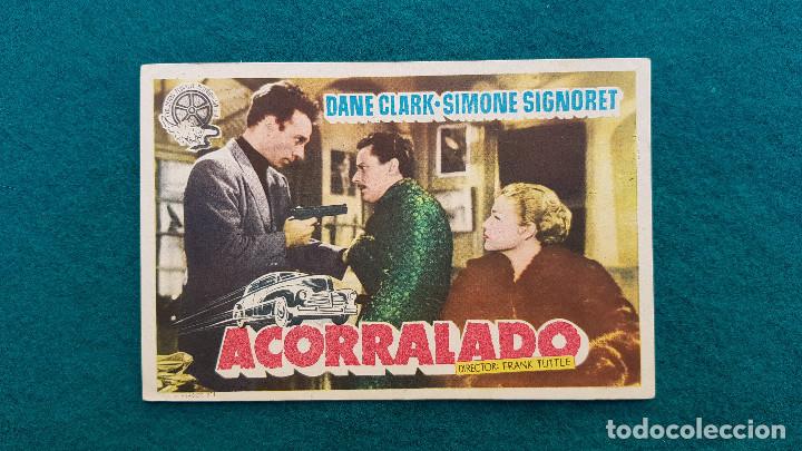 Cine: PROGRAMA DE MANO CINE ACORRALADO (1952) CON CINE AL DORSO - Foto 1