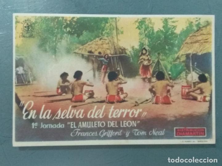 Cine: EN LA SELVA DEL TERROR - PROGRAMA DE CINE SENCILLO - Foto 1