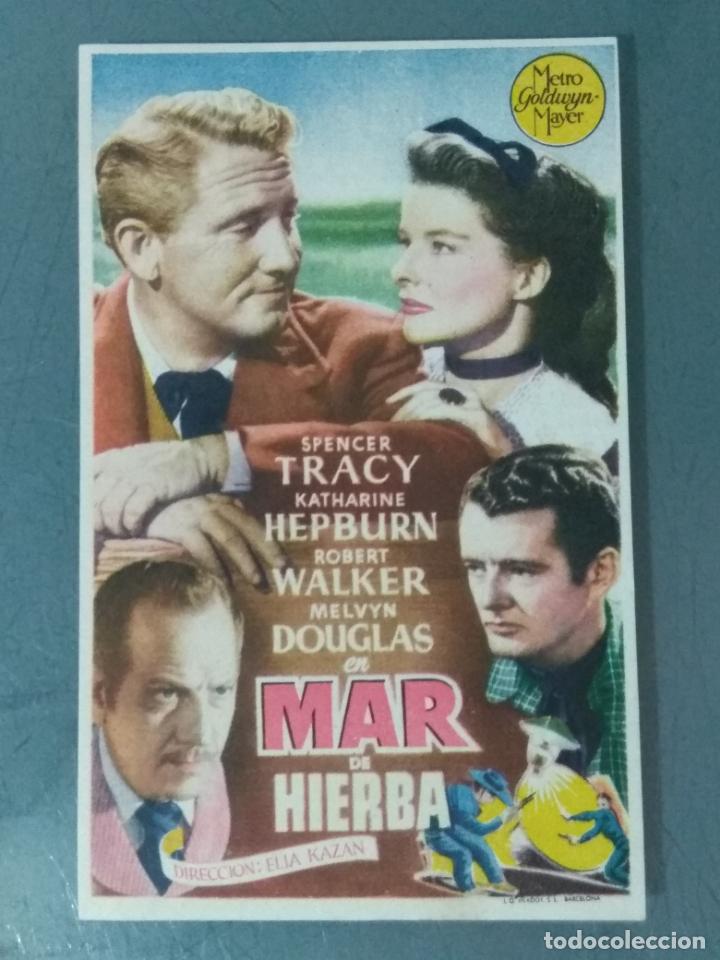 Cine: MAR DE HIERBA - PROGRAMA DE CINE SENCILLO - Foto 1