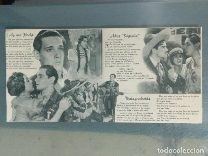 Cine: AMAPOLAS DEL CAMINO - PROGRAMA DE CINE DOBLE - Foto 2
