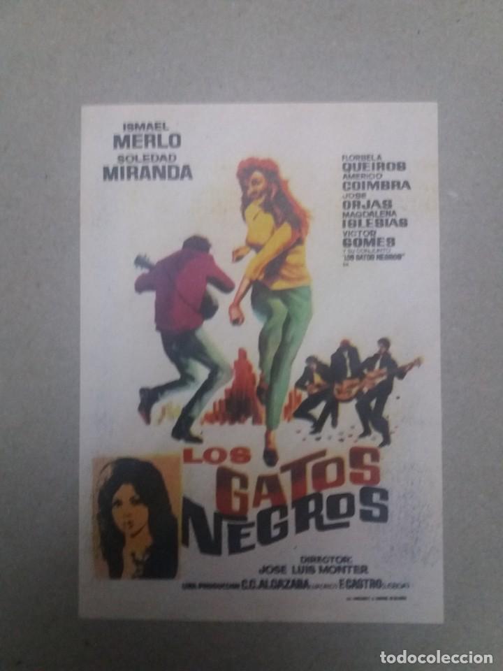 Cine: Los gatos negros - Foto 1