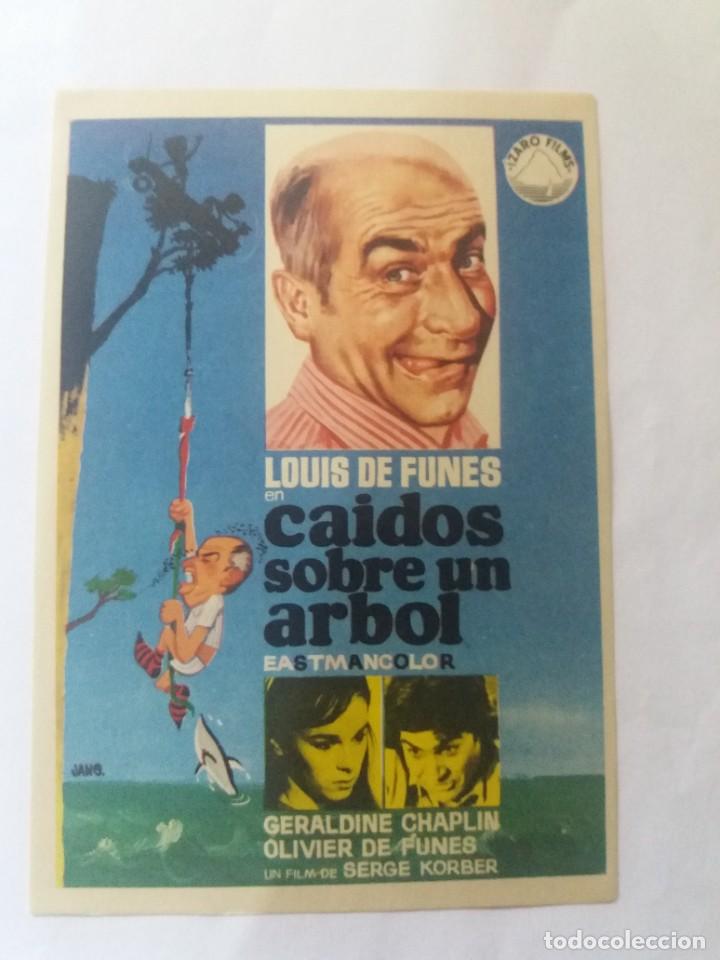 Cine: Caidos de un arbol - Foto 1