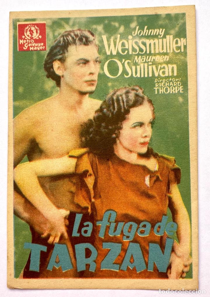 Cine: FOLLETO CINE - LA FUGA DE TARZAN - JOHNNY WEISSMULLER - PUBLICIDAD CINE BELLAS ARTES