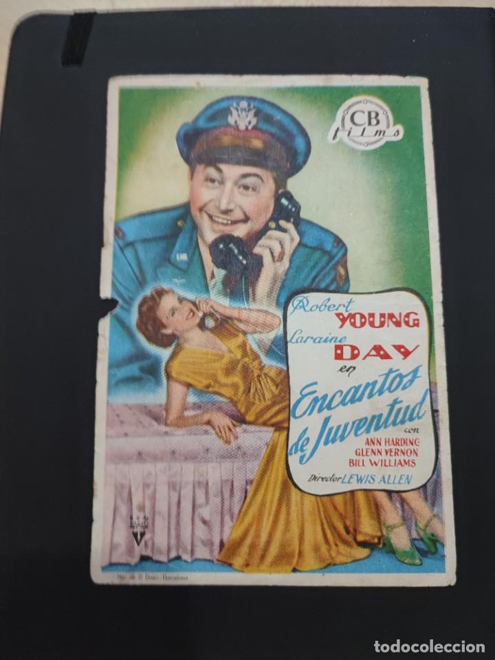 Kino: folleto de mano ENCANTOS DE JUVENTUD , Robert Young ,