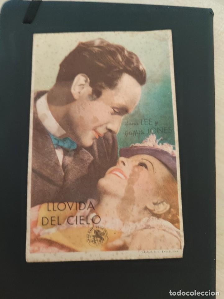 Kino: folleto de mano LLOVIDA DEL CIELO , Anna Lee ,