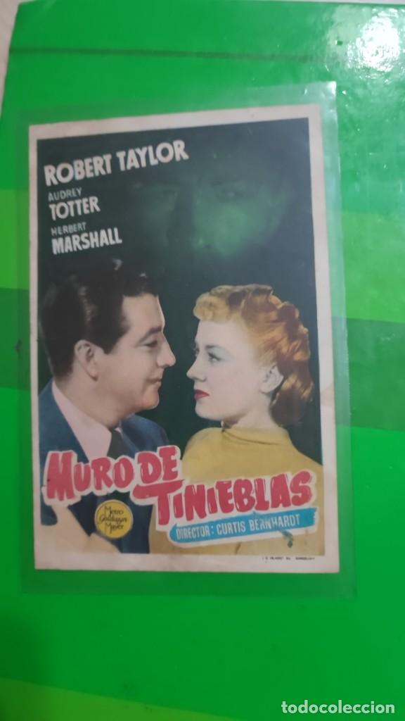 Cine: folleto de mano MURO DE TINIEBLAS , Robert Taylor , Audrey Totter , Herbert Marshall