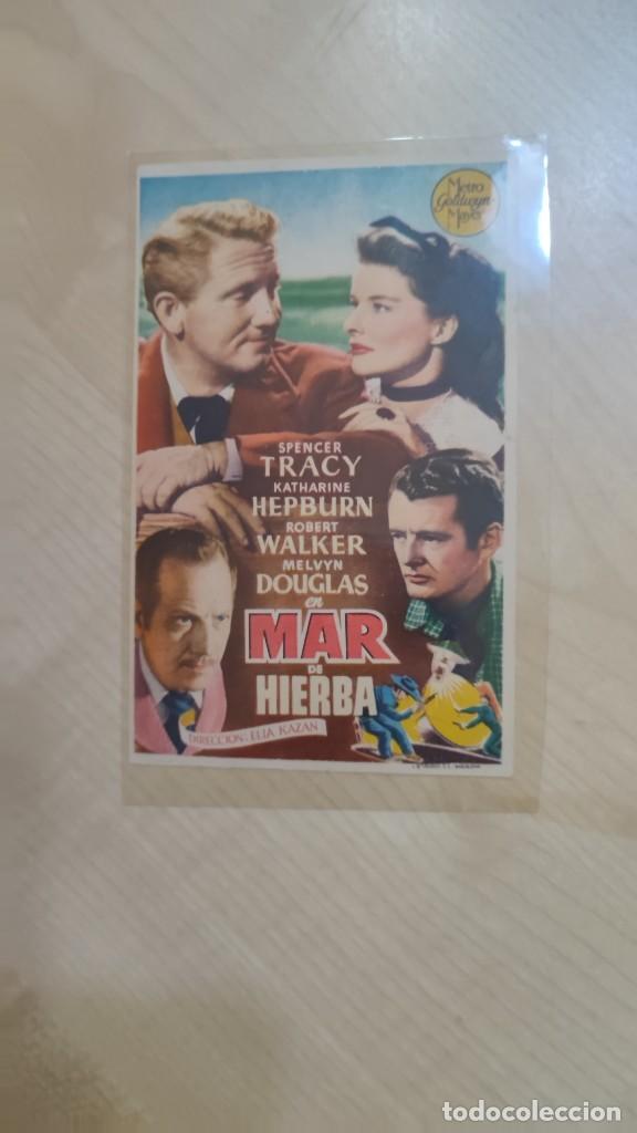 Kino: folleto de mano MAR DE HIERBA , Spencer Tracy ,