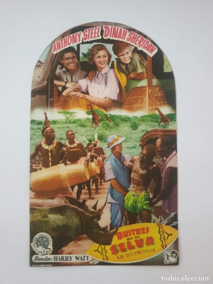Cine: PROGRAMA. BUITRES EN LA SELVA . ANTHONY STEEL - DIANAH SHERIDAN - Foto 1