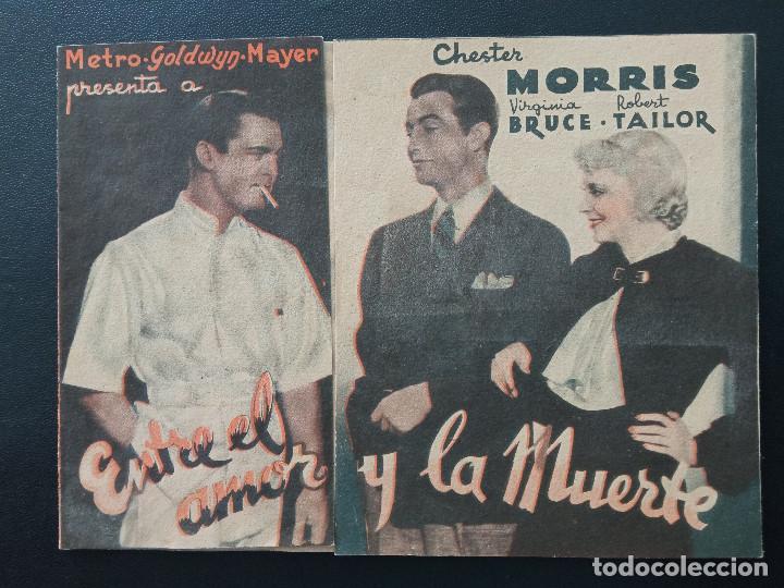 Cine: ENTRE EL AMOR Y LA MUERTE, CHESTER MORRIS, ROBERT TAYLOR, TEATRO PRINCIPAL, 1936