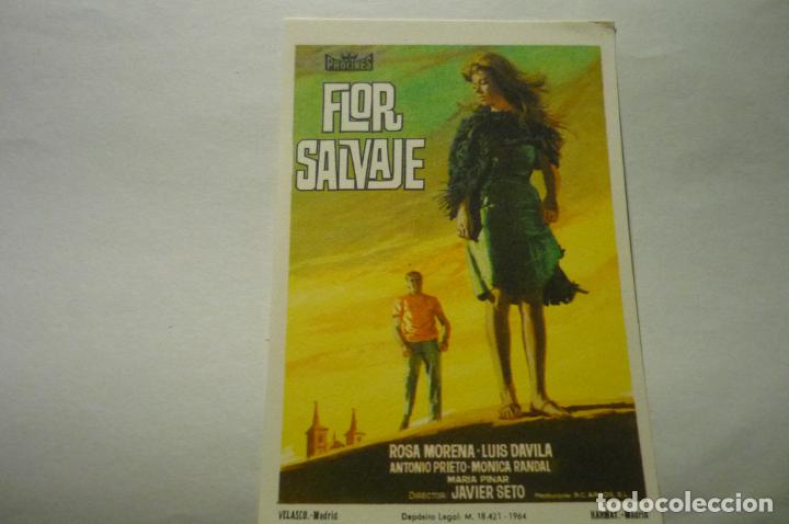 Cine: PROGRAMA FLKOR SALVAJE .-MONICA RANDALL - Foto 1