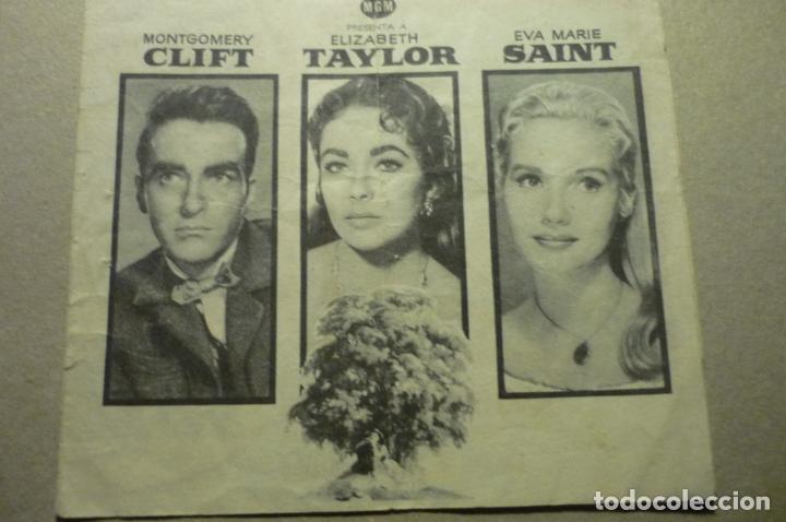 Cine: progrma doble el arbol de la vida.-elizabeth taylor