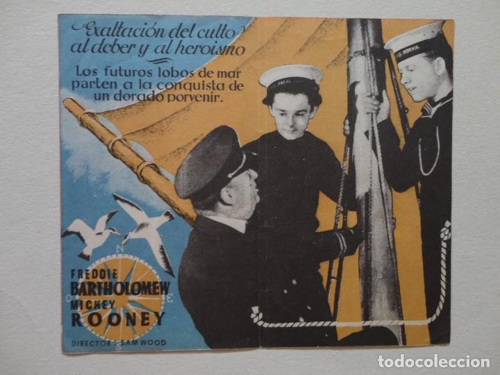 Cine: HORIZONTES DE GLORIA - - Foto 1