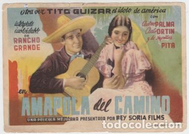 Cine: AMAPOLA DEL CAMINO - Foto 1