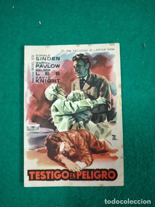 Cine: TESTIGO EN PELIGRO. PROGRAMA DE CINE - Foto 1