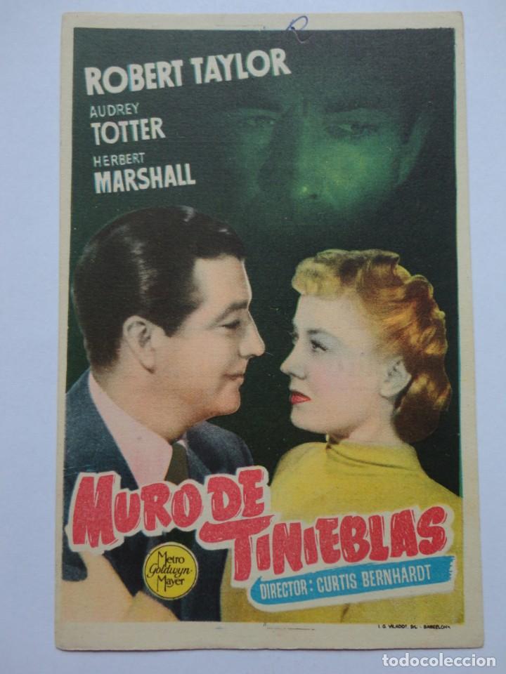 Cine: MURO DE TINIEBLAS - (T. Florida) - Foto 1