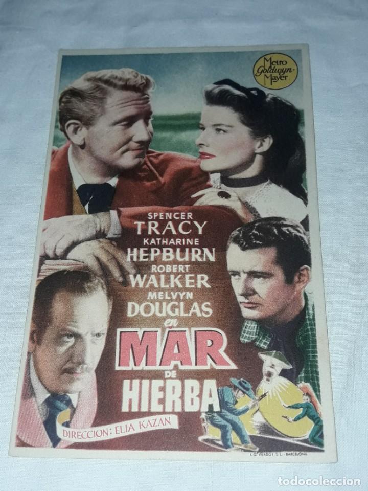 Cine: Antiguo programa de cine Mar de Hierbas - Foto 1