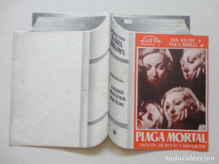 Cine: CINE-FOLLETO DE MANO - PLAGA MORTAL