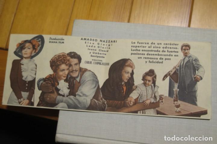 Cine: PROGRAMA DE CINE. LA MEJOR VENGANZA - Foto 2
