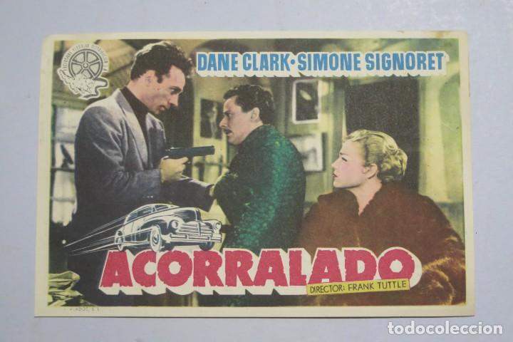 Cine: PROGRAMA DE CINE. ACORRALADO - Foto 1