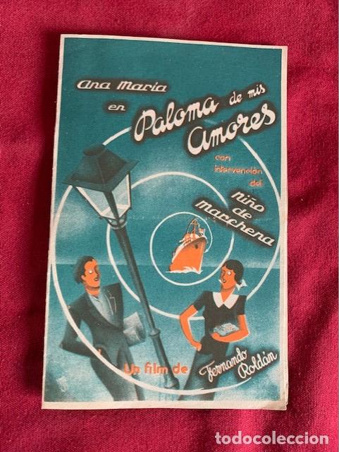 Kino: PALOMA DE MIS AMORES