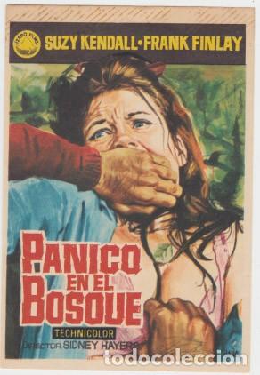Cine: P&Aacute;NICO EN EL BOSQUE - Foto 1