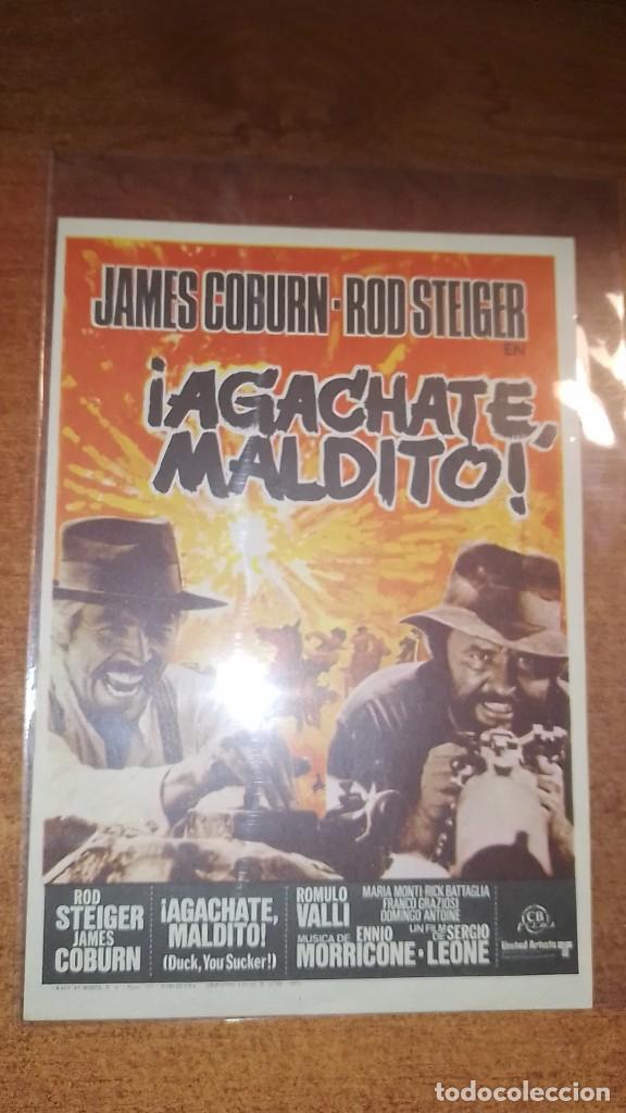 Cine: PROGRAMA O FOLLETO DE MANO DE CINE ag&aacute;chate, maldito - Foto 1