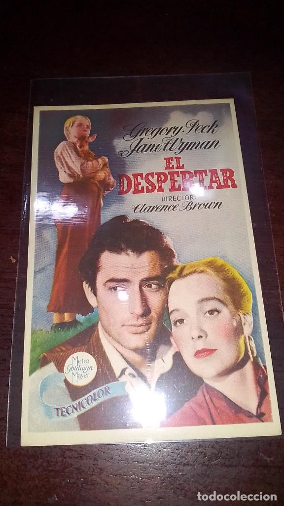 Cine: PROGRAMA O FOLLETO DE MANO DE CINE el despertar - Foto 1