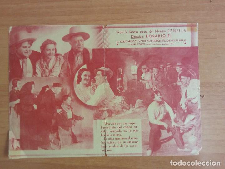 Cine: Z--PROGRAMA DE CINE--EL GATO MONTES - Foto 4
