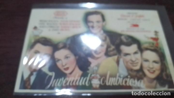 Cine: PROGRAMA O FOLLETO DE MANO DE CINE juventud ambiciosa - Foto 1