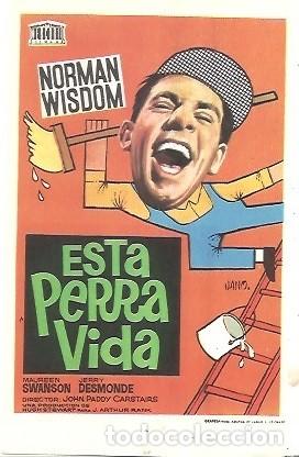 Cine: PROGRAMA DE CINE ESTA PERRA VIDA - Foto 1